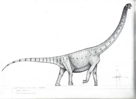 Брахиозавр рисунок поэтапно - 38 фото