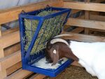 Combination Feeder for Goats Sheep feeders, Goat barn, Goat 