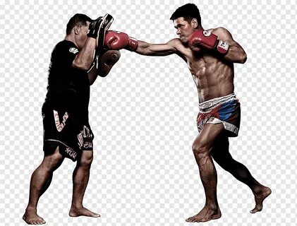 Muay Thai Boxing Mixed martial arts Evolve MMA, mixed martia