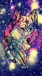 Galaxy Wallpaper Cute Anime Galaxy Wallpaper Cute Wolf / * y