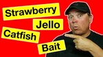 Amazing Results with this Catfish Bait - YouTube