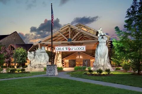 Deal Alert! August 4 is "8/4 Day" at Great Wolf Lodge - Will