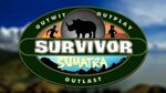 Survivor Logo / You can download in.ai,.eps,.cdr,.svg,.png f
