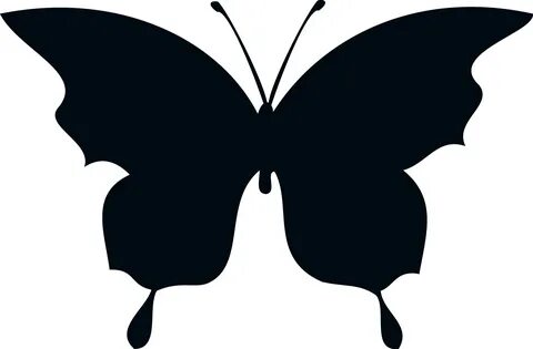 Butterfly Silhouette Png - Silhouette - (1565x1027) Png Clip