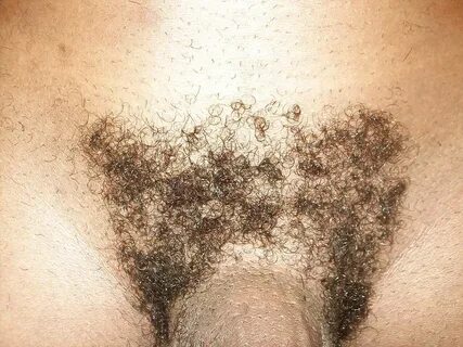 History of shaved pubic hair XXX Image Shaved