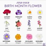 August Birth Month Flower Tattoo - Same Day Flower Delivery