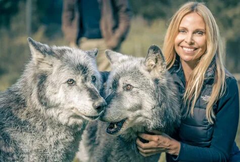 WolfWatchUK - A Haven for Misplaced & Rescued Wolves - Annek