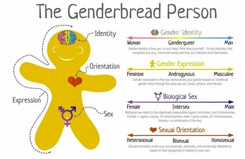 Pin by Julie Benke on SCIENCE Biological sex, Sex ed, Gender studies