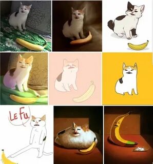 The many pictures of cat and banana - Funny Cute funny anima