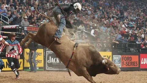 Bulls That Have WRECKED The Most Riders: Top 3 Buckoff Strea