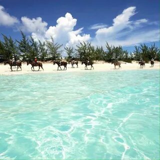 Half Moon Cay Beach In the Bahamas Bahamas island, Bahamas, 