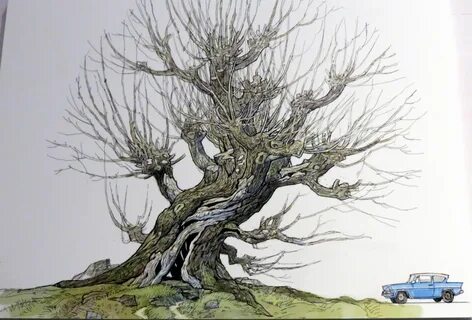 The Whomping Willow - Andrew Williamson Tree drawing, Harry 
