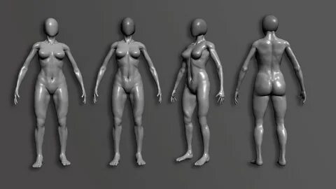 Zbrush Zsphere Human Download