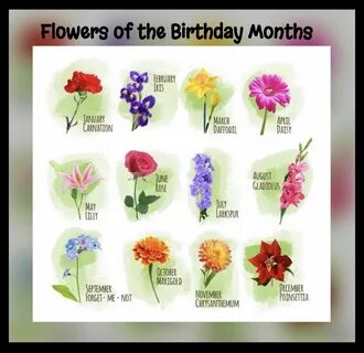 Birthday month flowers Birthday month flowers, Beautiful flo