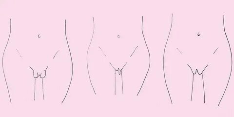 Tipos de vulva: estos son los 7 más comunes