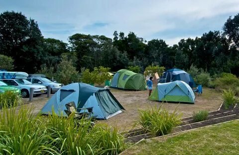 Freemans campground Learn more NSW National Parks