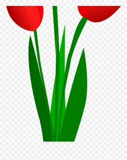 Tulip Clip Art Free Clipart Three Red Tulips Olku Plant - Cl