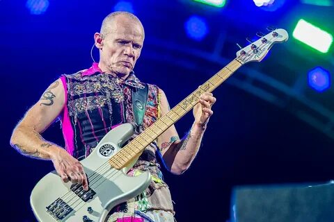 File:2016 RiP Red Hot Chili Peppers - Michael Flea Balzary -