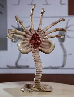 Alien Facehugger Front View Giger alien, Alien art, Xenomorp