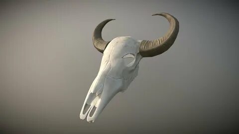 Buffalo Skull - 3D model by Stan (@Stas_SayHallo) 670eb55