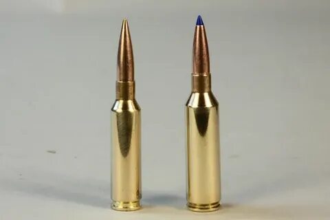 Top Big Game Rifle Cartridges by Caliber - RifleShooter