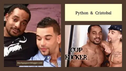 Python Gay Porn Sex Pictures Pass