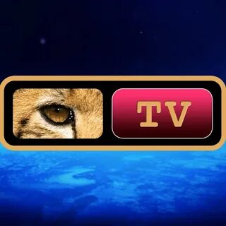 PROJECT CAMELOT TV NETWORK LLC - YouTube