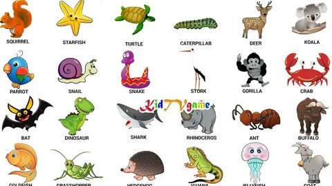 KidTV animals puzzle for Kids Learn Animal Names, part1 - Yo