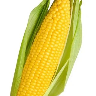 Corn King - YouTube