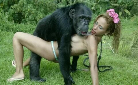 Ape Porn Clips