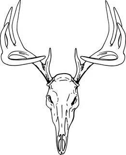 Deer drawing, Deer skull drawing, Deer track tattoo