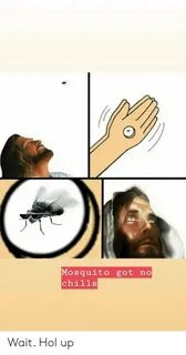 Mosquito Got No Chills Wait Hol Up Dank Meme on ME.ME