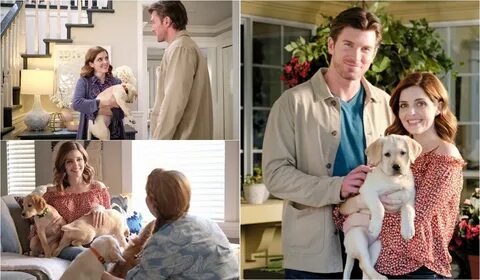 Jen Lilley’s Adorable Puppy-Themed Hallmark Movie 'Love Unle