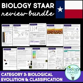 Biology Staar / Ppt Biology Staar Review Category 1 Powerpoi