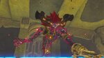 Waterblight Ganon Revive the Breath of the wild Champions Wi