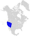 File:WGSRPD Southwestern United States.svg - Wikipedia