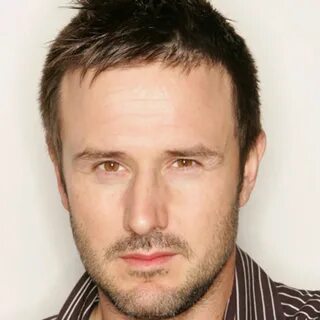 Pictures of David Arquette, Picture #7856 - Pictures Of Cele