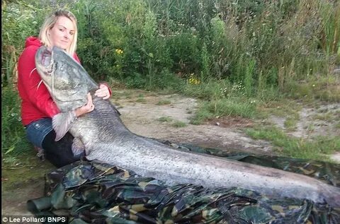 The 5ft2in girl who took on a 7ft catfish - and won Daily Ma