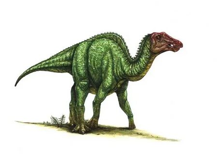 Prosaurolophus Pictures & Facts - The Dinosaur Database