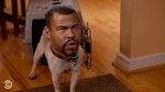 Comedy Central - Ice-T Rescue Dog - Key & Peele