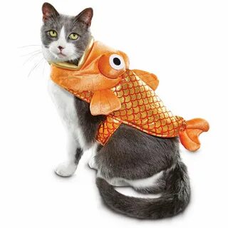 Bootique Goldfish Cat Costume Petco Pet halloween costumes, 