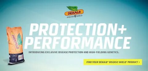 Dekalb to offer enhanced disease protection Iowa Agribusines