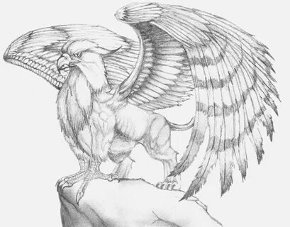 Gryphon Drawing at PaintingValley.com Explore collection of 