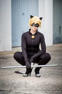 Cat Noir - Pourquoi ne pas adopter un chat noir ? Animaniacs