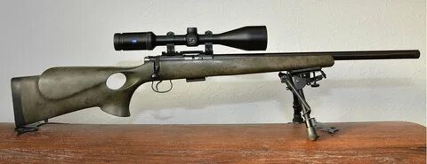 Camo-painted 455 thumbhole stock - RimfireCentral.com Forums