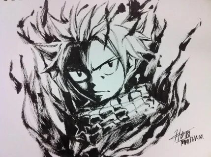 Natsu, Fairy Tail, by Hiro Mashima Fairy tail tumblr, Fairy 