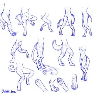 Anthro Digitigrade Legs and Paws Practice - Weasyl
