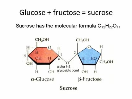 Chemistry and Biological Molecules - ppt video online downlo