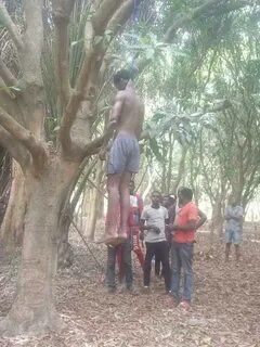 Man Commits Suicide In Abuja By Hanging On A Tree (Graphic P