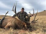 Guided Bull Elk Hunt on the Zumwalt Prairie Preserve Raffle 